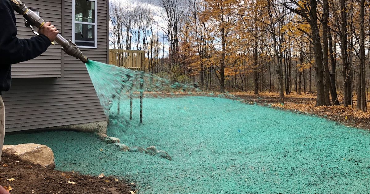 hydroseeding aftercare