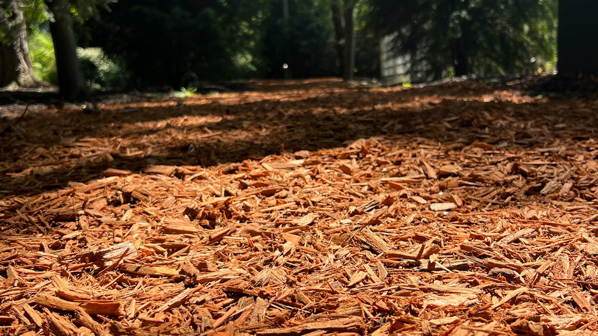 bark and mulch for weed control
