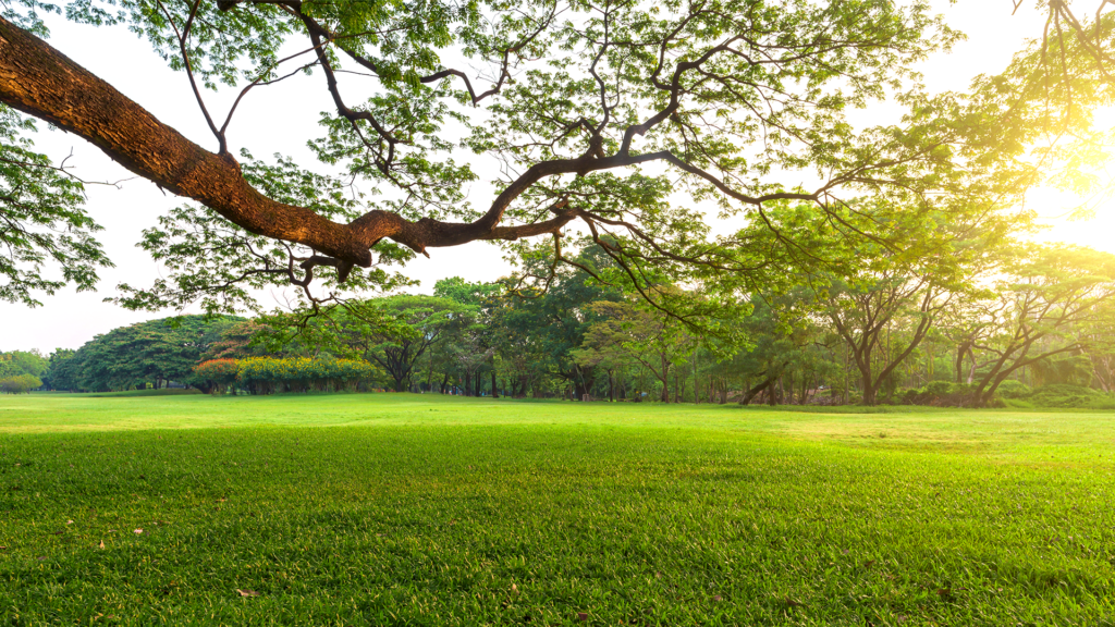 bulk mulch delivery Richland Michigan